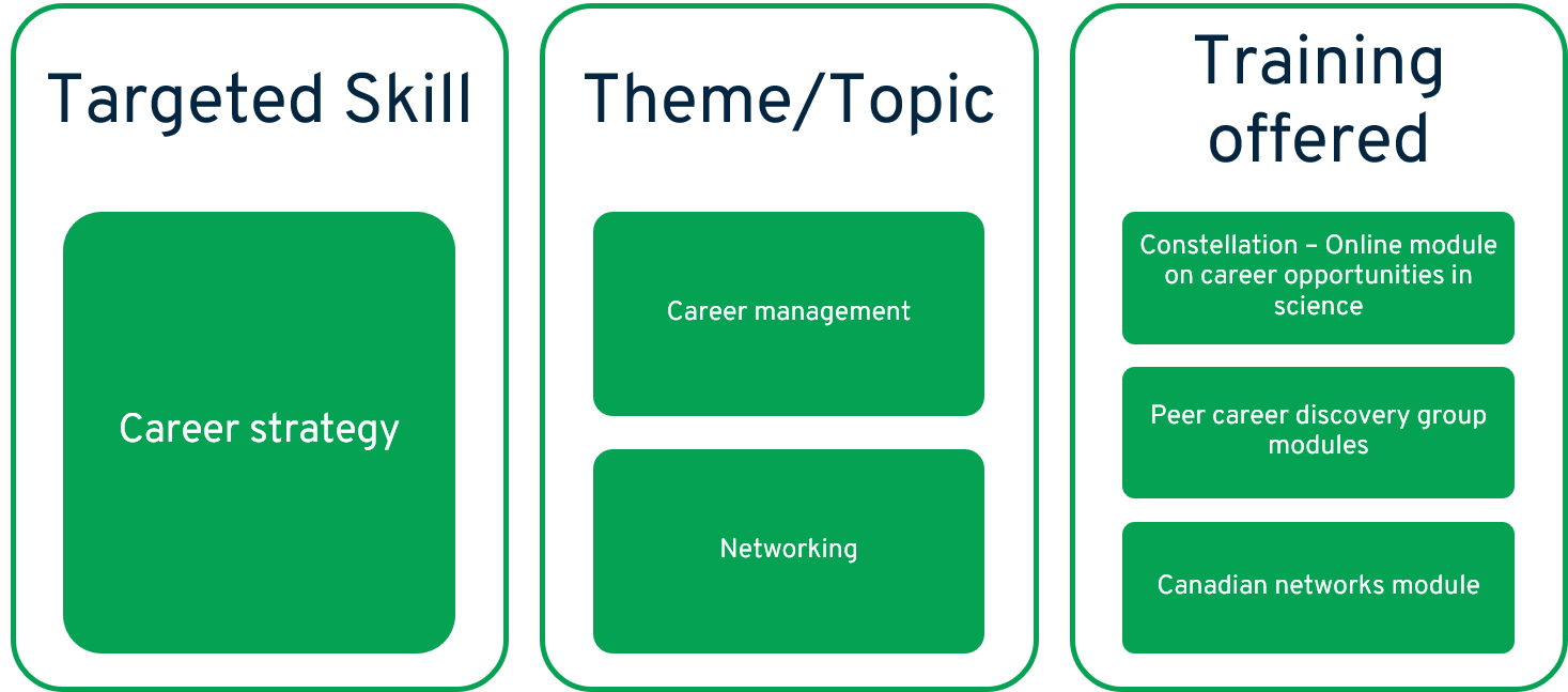 Career strategy content of the fundamental level