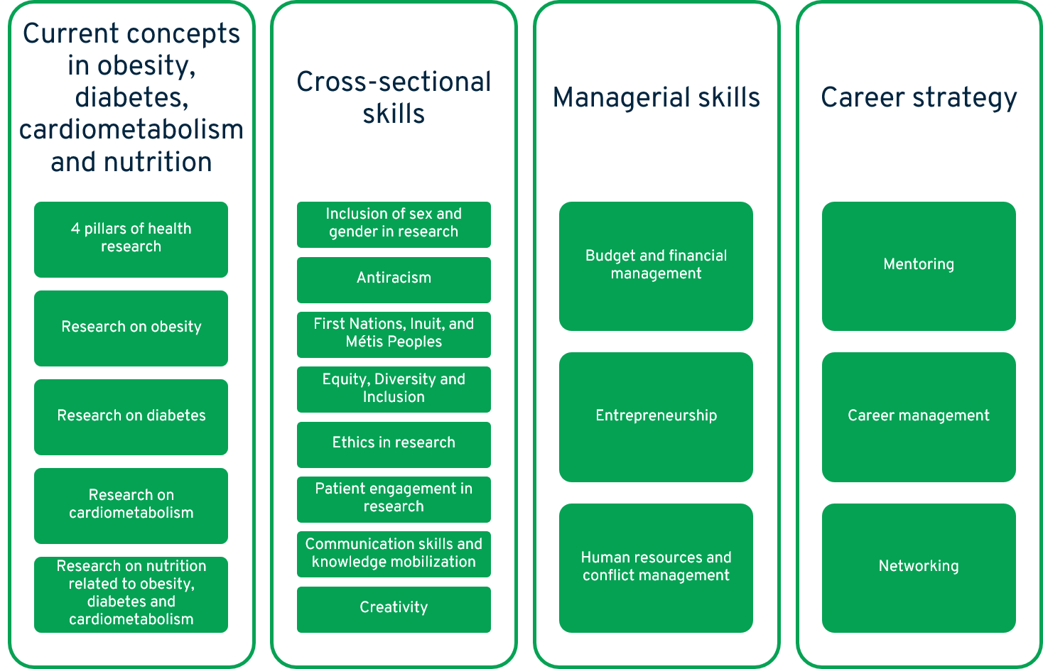 Skills targeted by the core training and mentoring program