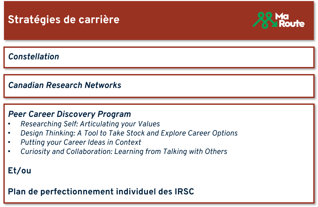 contenu des stratégies de carrière